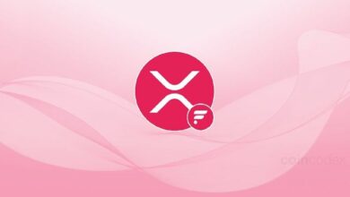 ما هو FXRP؟ دليل شامل لانطلاق التمويل اللامركزي (DeFi) لحاملي عملة XRP عبر شبكة فلير