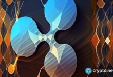توقع سعر XRP: هل يؤدي تداول السيولة إلى ارتفاع السعر فوق 3 دولارات؟