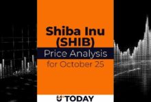 تحليل سعر SHIB: توقعات 25 أكتوبر وآفاق الارتفاع