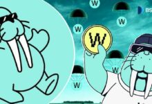 مشروع بينانس الخمسين لتوزيع العملات: كل ما تريد معرفته عن Walrus (WAL)