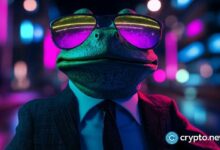 الحيتان تتخلص من 1.5 تريليون عملة قبل انهيار سعر بيبي كوين