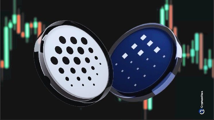 شراكة Ocean Protocol و Fetch AI في أزمة بعد تحويل 661 مليون OCEAN إلى 286 مليون FET