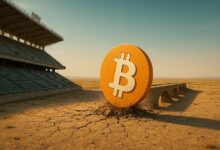 بناء نظام ديفاي البيتكوين قد لا يكون كافياً لجذب المستخدمين