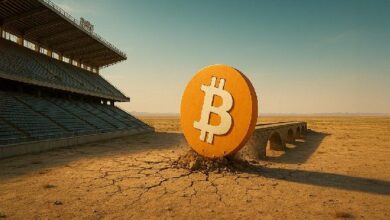 بناء نظام ديفاي البيتكوين قد لا يكون كافياً لجذب المستخدمين