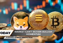 توقعات سوق العملات الرقمية: هبوط شيبا إينو (SHIB) مؤكد وسولانا (SOL) تتغلب على الإيثيريوم.. هل سيحافظ البيتكوين (BTC) على قاعه لاستهداف 120,000 دولار؟