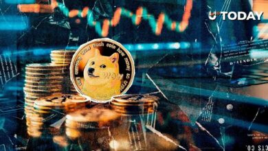 129 مليون دولار من الدوجكوين تصل إلى "بينانس" بعد تحرك محفظة عملاقة