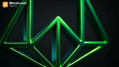 رئيس Wintermute ينفي شائعات الانهيار ويوضح الفروق بين أزمتي FTX و Terra