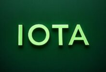 دومينيك شينر: "أؤيد بتكرار نمو 2017" مع اكتساب عملة آيوتا زخماً مؤسسياً قوياً