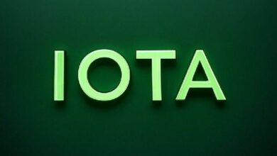 دومينيك شينر: "أؤيد بتكرار نمو 2017" مع اكتساب عملة آيوتا زخماً مؤسسياً قوياً