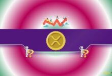 توقعات سعر الريبل (XRP): هل يُمكن أن يصل إلى 13 دولاراً هذا العام؟ (خبير تحليل)