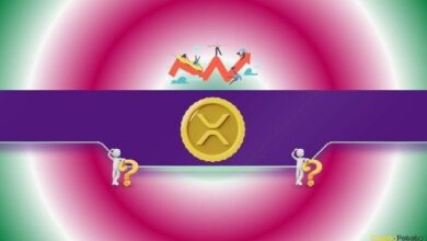 توقعات سعر الريبل (XRP): هل يُمكن أن يصل إلى 13 دولاراً هذا العام؟ (خبير تحليل)