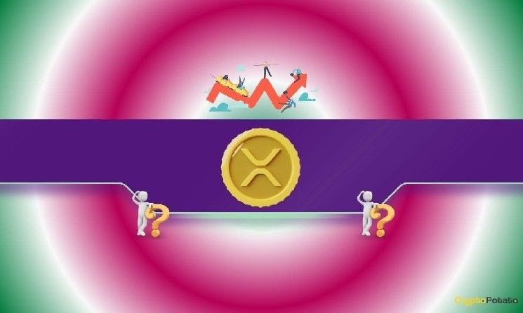 توقعات سعر الريبل (XRP): هل يُمكن أن يصل إلى 13 دولاراً هذا العام؟ (خبير تحليل)