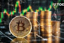 نشاط الحيتان على شبكة البيتكوين يسجل أعلى مستوى في شهرين