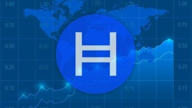 شراكة Hedera مع مجموعة بيئة تُطلق هوية رقمية مستقلة في الشرق الأوسط