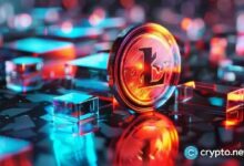 سعر اللايتكوين يُشكل نمطاً خطيراً مع اقتراب الموعد النهائي للبت في صناديق الاستثمار المتداولة