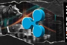 مسؤول سابق في ريبل يوجه رسالة حاسمة لمتشائمي العملات الرقمية: "حان وقت البحث عن ملاذ جديد"