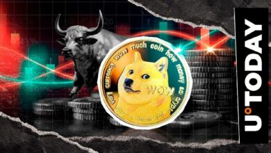 انفجار في تصفية الدوجكوين: 1,564.8% ارتفاع في عدم التوازن خلال ساعة