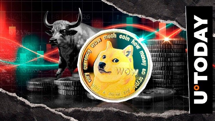 انفجار في تصفية الدوجكوين: 1,564.8% ارتفاع في عدم التوازن خلال ساعة