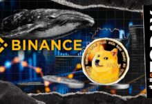 حوت مجهول يعيد تفعيل محفظة الدوجكوين بسحب 15 مليون عملة من بينانس
