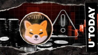 450 مليون عملة DOGE تصعق بينانس مع عودة سعر الدوجكوين إلى الارتفاع