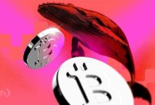 سوق العملات الرقمية يشهد طفرة هائلة.. ومستثمر يراهن على انهياره الوشيك