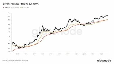 الاتجاهات الرئيسية للبيتكوين تشير إلى أن السعر لم يبلغ ذروته بعد
