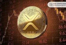سعر XRP المتوقع بحلول 2030 في حال تم تجميد 80% من المعروض في التخزين