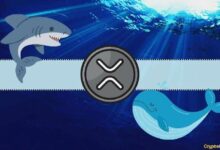تحليل هبوط سعر XRP اليوم: هل حيتان الريبل وراء انخفاضه دون 2.5 دولار؟