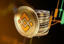 محفظة بينانس تطلق "Meme Rush" لإطلاق الرموز المميزة المبكر