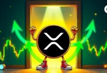 محامي في مجال العملات الرقمية يعزز حجج اللامركزية لـ XRP