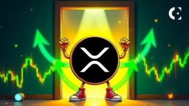 محامي في مجال العملات الرقمية يعزز حجج اللامركزية لـ XRP