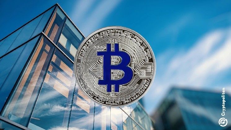 لماذا تتجه المزيد من الشركات العامة لاعتماد خزائن الأصول الرقمية في 2025؟