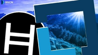 اندماج هيديرا مع مؤسسة لينكس: ما الآثار المترتبة على مستقبل البلوك تشين؟