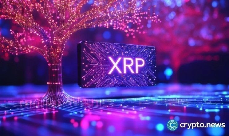 آخر مرة تشكل سعر XRP هذا النمط، انخفض بنسبة 65%