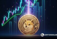 شيبا تبني دعمًا قويًا قرب 0.0000095 دولار قبل انطلاق صعود كبير