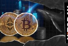 BTC مقابل ETH: لماذا يتأخر سعر الإيثيريوم خلف البيتكوين؟