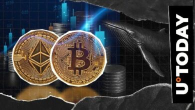 BTC مقابل ETH: لماذا يتأخر سعر الإيثيريوم خلف البيتكوين؟
