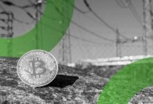 بروفيسور كوين: البيتكوين والطاقة ومستقبل العملات الرقمية المستدامة