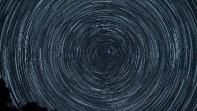 شركة أبحاث تحذر: الانهيار الأخير للبيتكوين يعرّض تداولات بقيمة مليار دولار على sUSDe للخطر