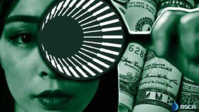 ما هو رمز XPL: استكشاف أصل المنفعة في شبكة بلازما