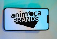 أنيموكا براندز توسع نطاق أعمالها لتشمل الوساطة في الأصول الرقمية بعد حصولها على موافقة هيئة دبي VARA