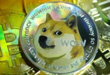 لماذا قد ينعكس سعر عملة Dogecoin إلى 0.5 دولار مع وصول الزخم إلى مستويات تاريخية منخفضة