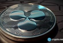 من هو ديفيد شوارتز: العقل المدبر لـ XRP الذي اعتزل منصب CTO بعد 13 عاماً