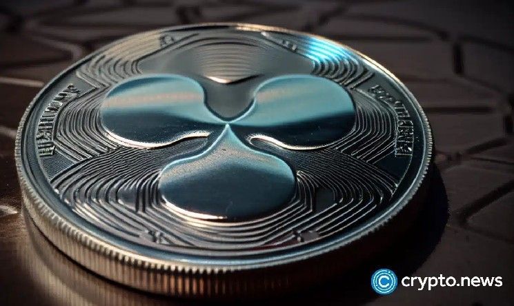 من هو ديفيد شوارتز: العقل المدبر لـ XRP الذي اعتزل منصب CTO بعد 13 عاماً