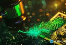 صعد 440%: هل يستمر سعر سهم Robinhood في الارتفاع؟