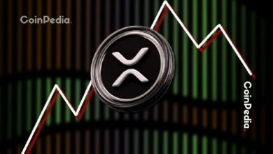 هل هذه آخر فرصة لشراء XRP قبل أن ينخفض دون دولار؟