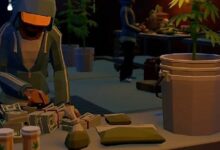 لعبة زراعة الماريجوانا 'غير التقليدية' تنتشر كالنار في الهشيم على سولانا