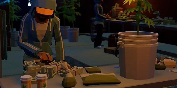 لعبة زراعة الماريجوانا 'غير التقليدية' تنتشر كالنار في الهشيم على سولانا