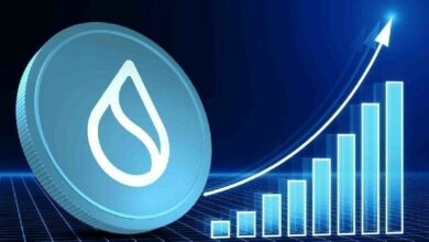 انهيار صاروخي لـ SUI بنسبة 85% إلى 0.56 دولار.. هل يستهدف الحيتان 10 دولارات؟