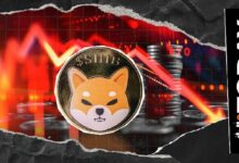 -19,685,880,237 شيبا إنو (SHIB) تحترق في 24 ساعة: التدفقات تصبح خسائر فادحة
